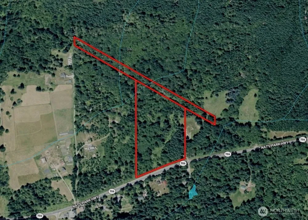 28909 State Route 706 Ashford, WA 98304