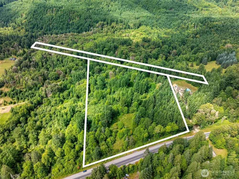 28909 State Route 706 Ashford, WA 98304