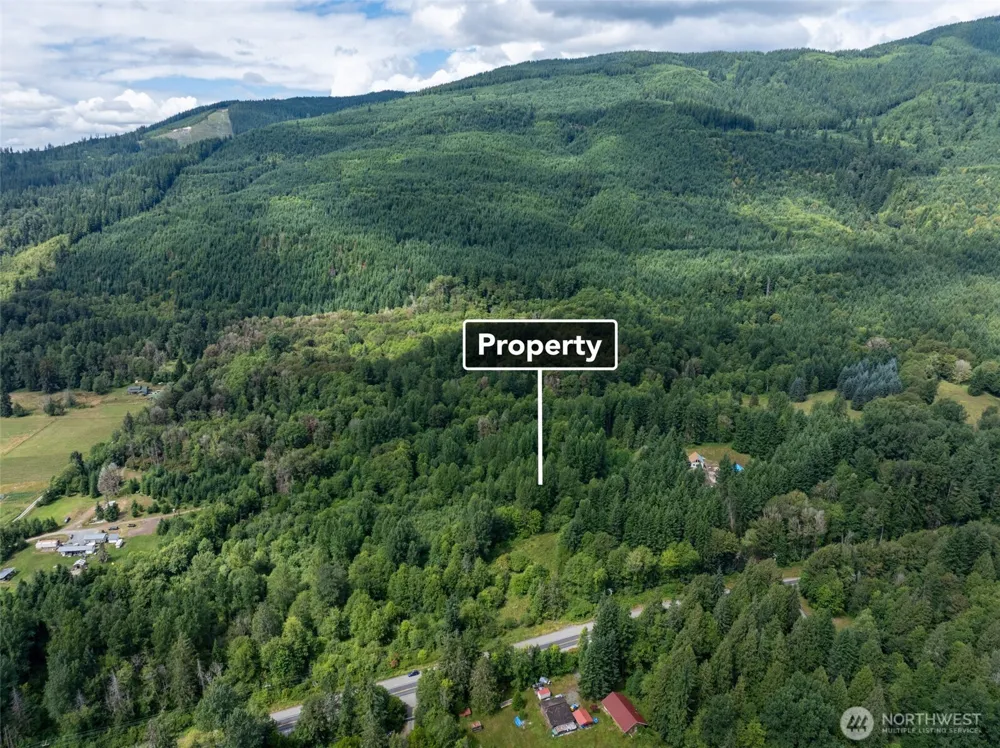 28909 State Route 706 Ashford, WA 98304