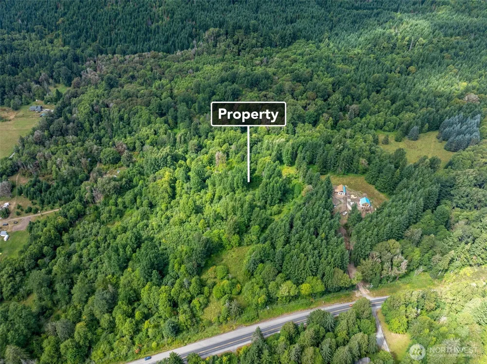 28909 State Route 706 Ashford, WA 98304