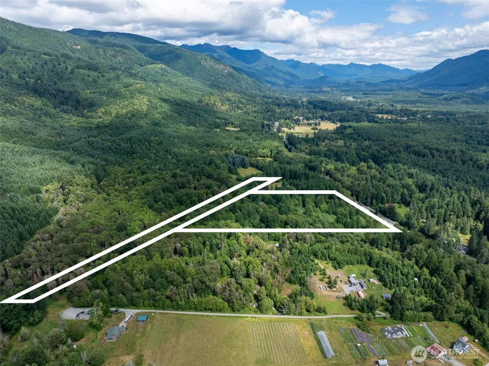 28909 State Route 706 Ashford, WA 98304