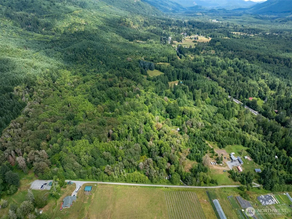 28909 State Route 706 Ashford, WA 98304