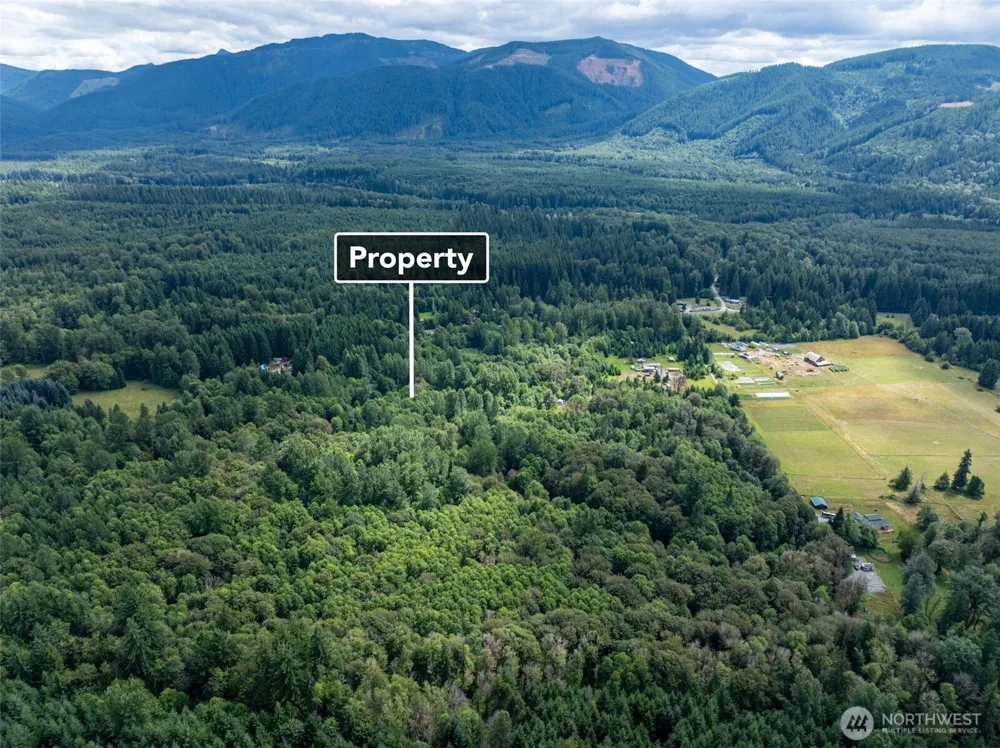 28909 State Route 706 Ashford, WA 98304