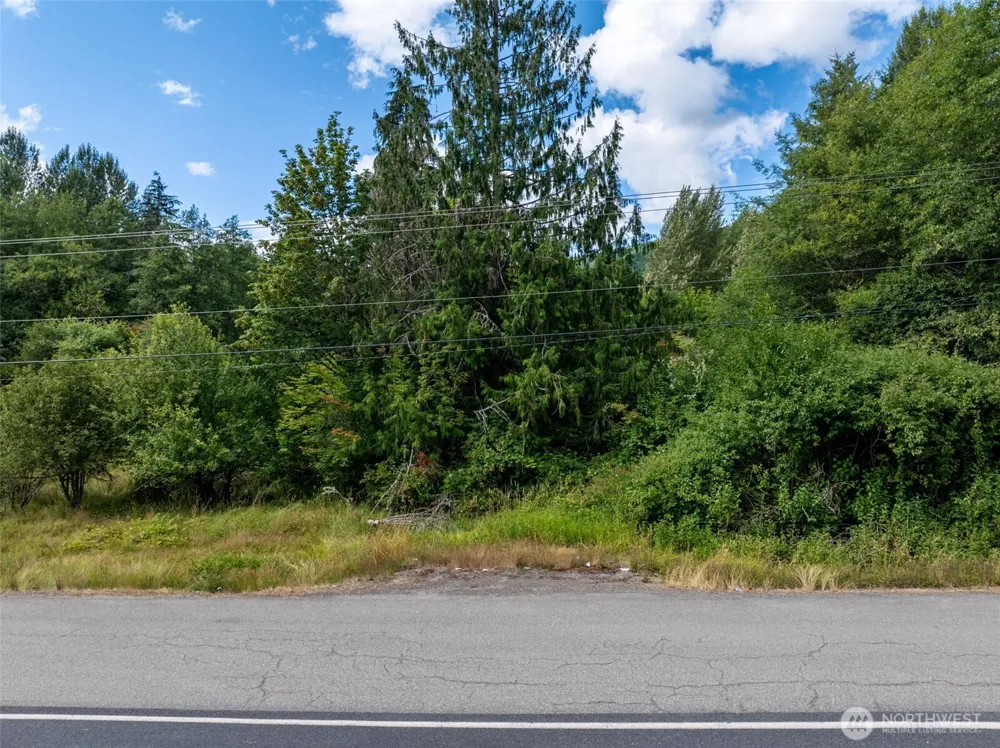 28909 State Route 706 Ashford, WA 98304