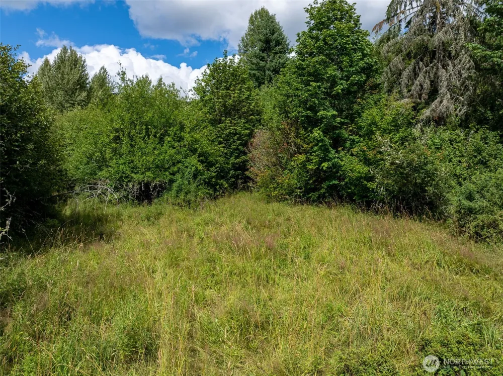 28909 State Route 706 Ashford, WA 98304