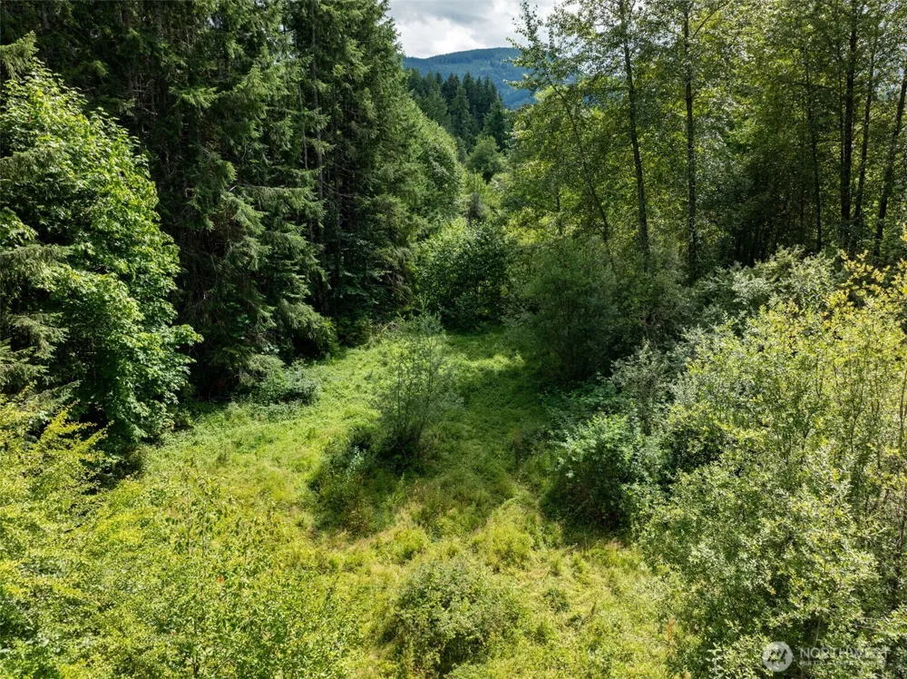 28909 State Route 706 Ashford, WA 98304