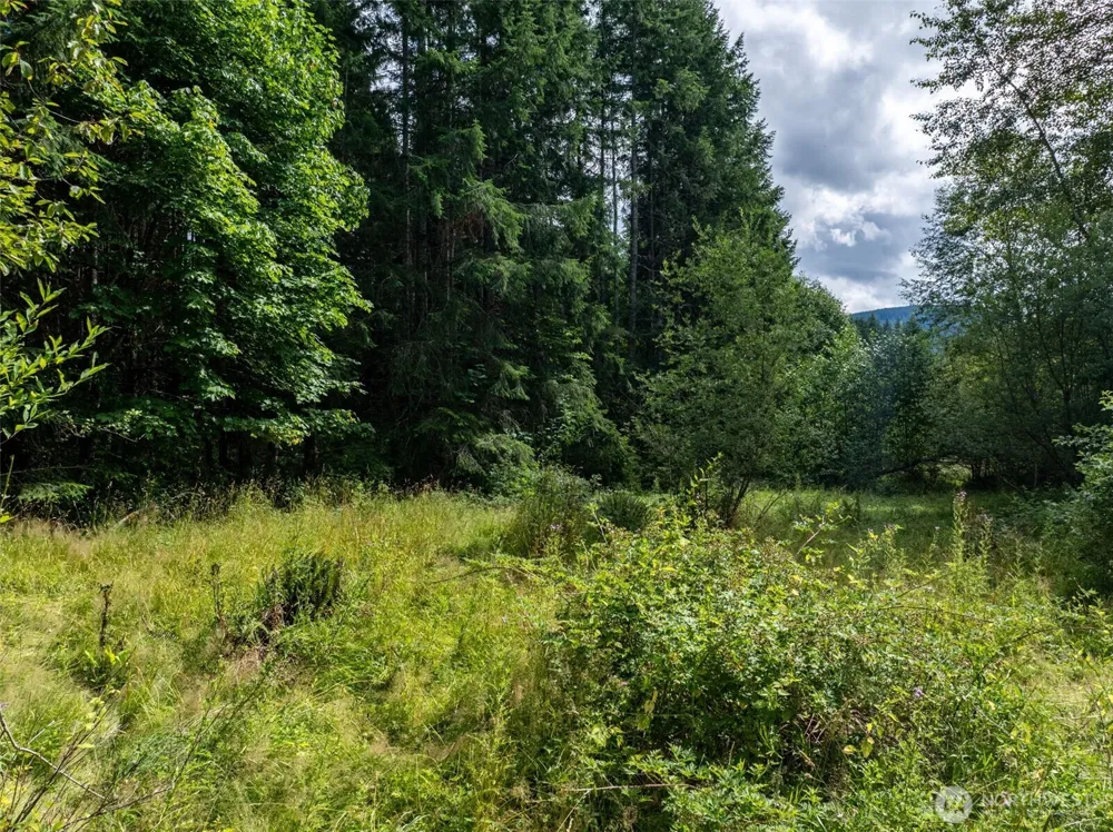 28909 State Route 706 Ashford, WA 98304