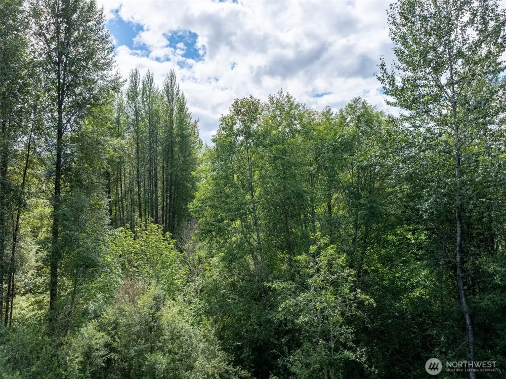 28909 State Route 706 Ashford, WA 98304
