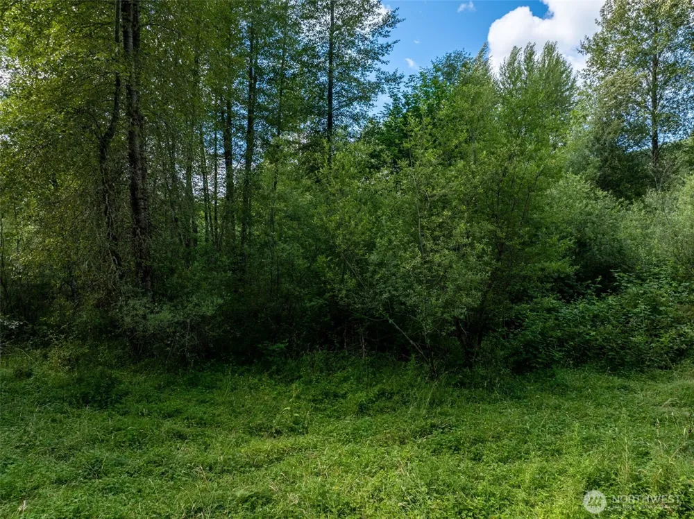 28909 State Route 706 Ashford, WA 98304