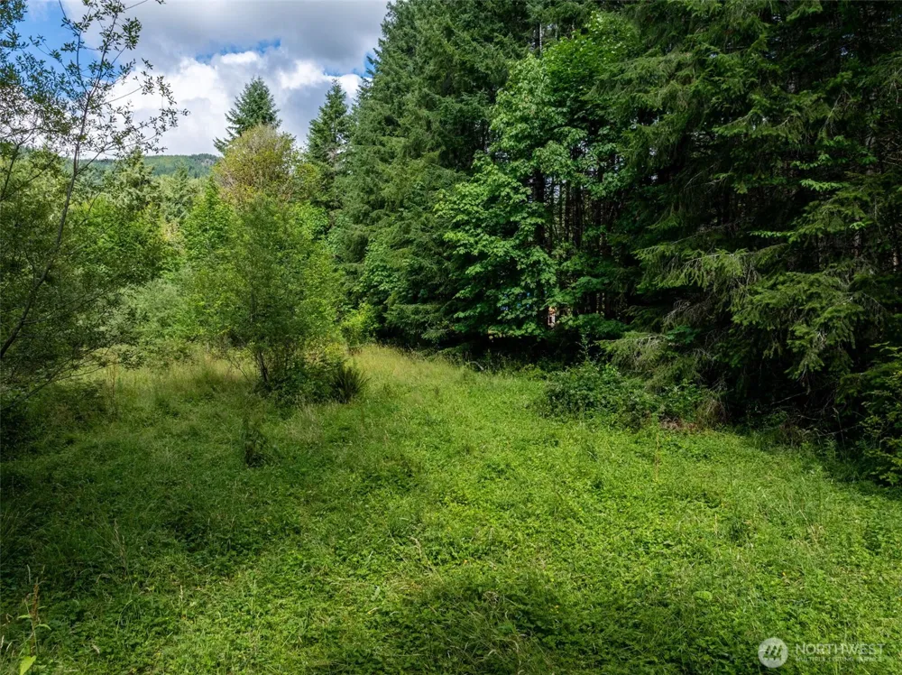 28909 State Route 706 Ashford, WA 98304