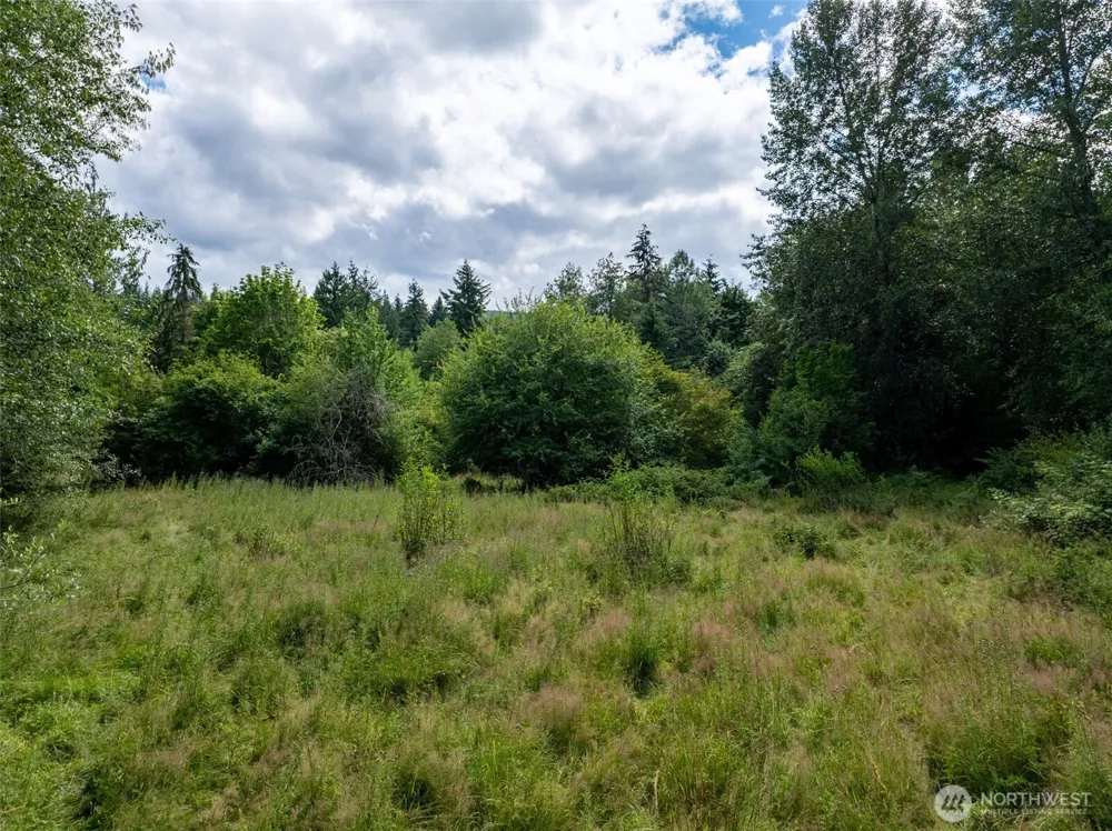 28909 State Route 706 Ashford, WA 98304