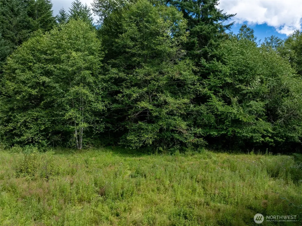 28909 State Route 706 Ashford, WA 98304