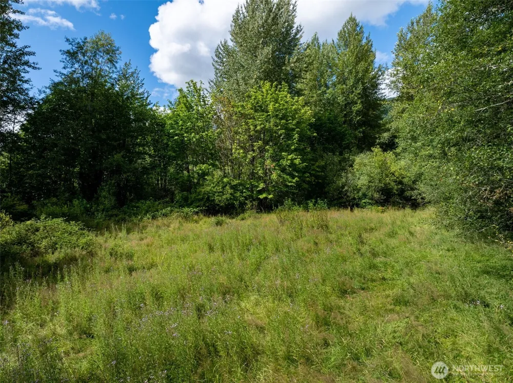 28909 State Route 706 Ashford, WA 98304