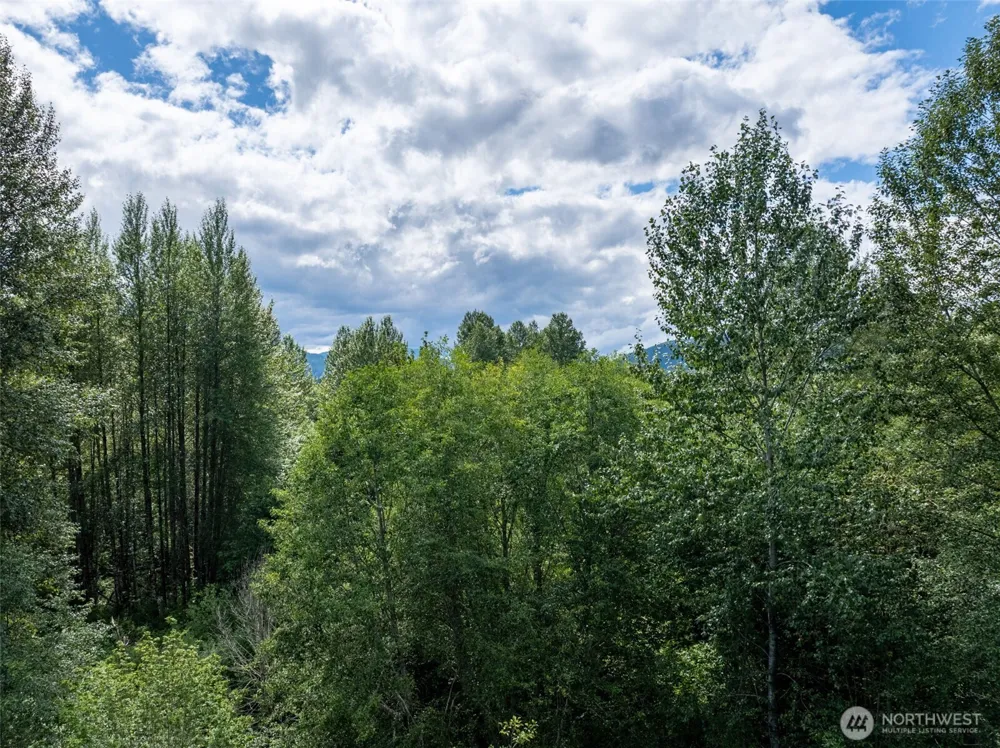 28909 State Route 706 Ashford, WA 98304