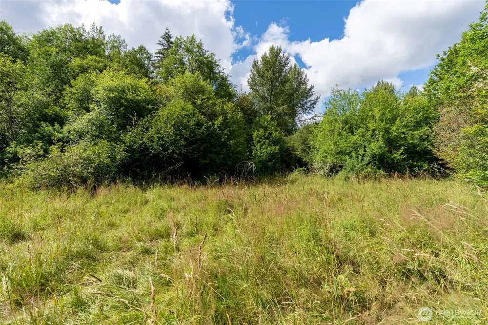 28909 State Route 706 Ashford, WA 98304