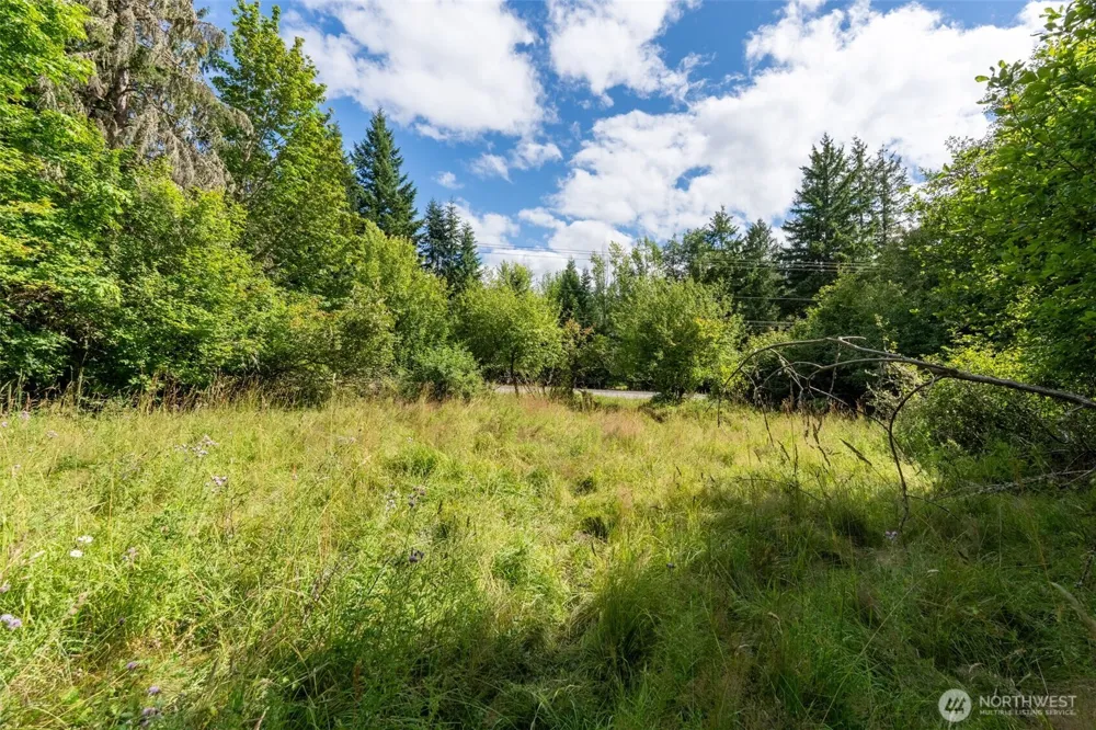 28909 State Route 706 Ashford, WA 98304