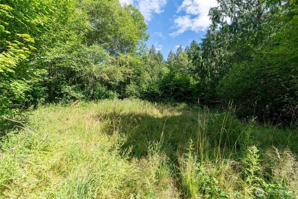28909 State Route 706 Ashford, WA 98304