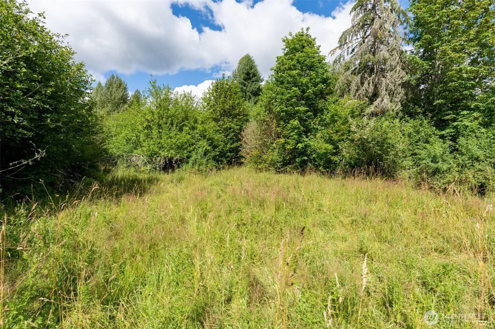 28909 State Route 706 Ashford, WA 98304