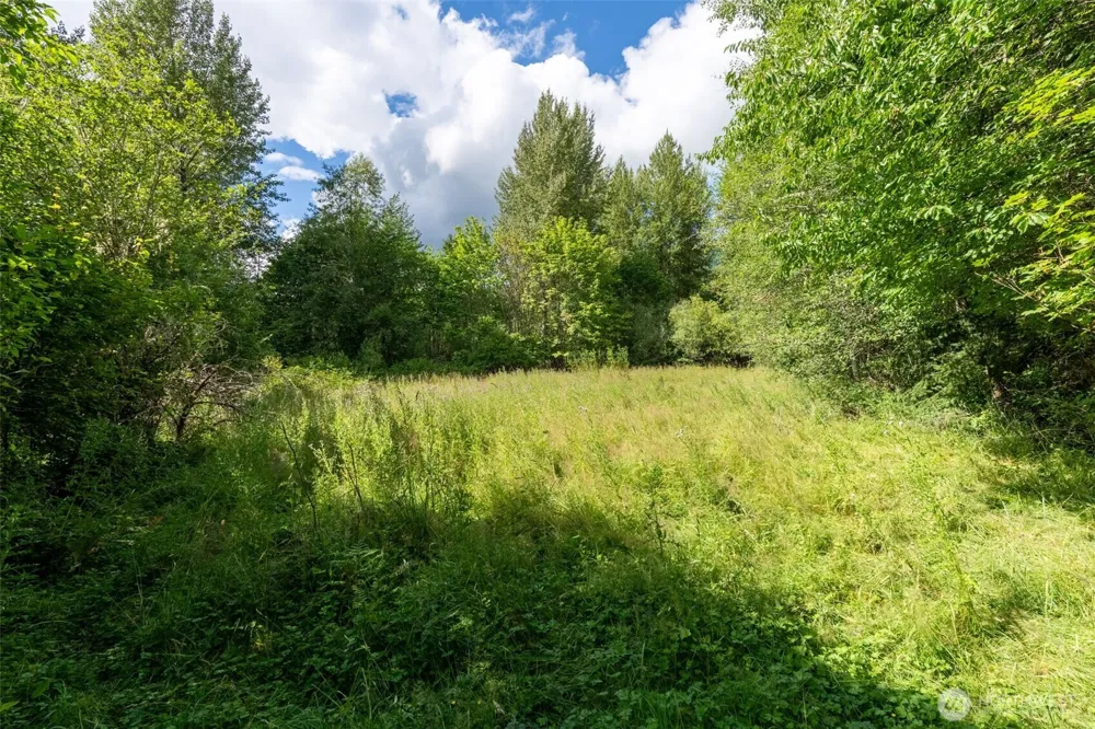 28909 State Route 706 Ashford, WA 98304