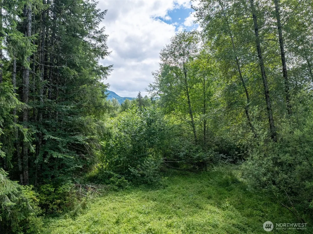 28909 State Route 706 Ashford, WA 98304