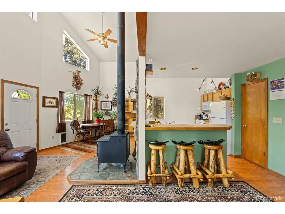 3943 CO Rd 403 Lake George, CO 80827