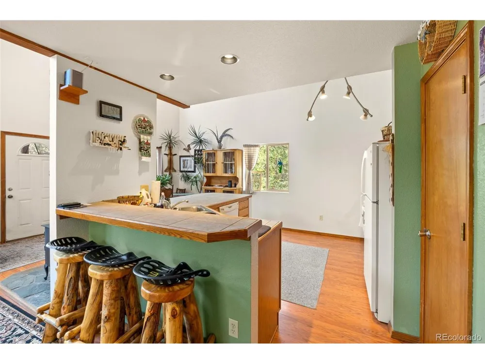 3943 CO Rd 403 Lake George, CO 80827