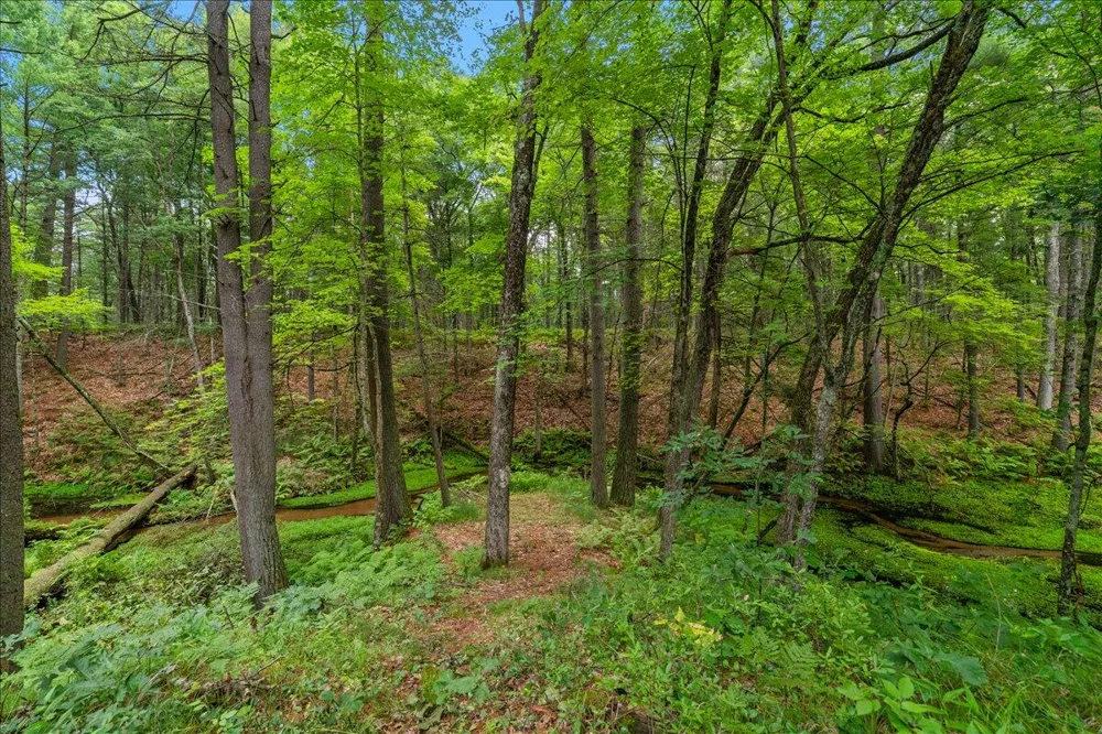 3729 S Walnut Avenue White Cloud, MI 49349