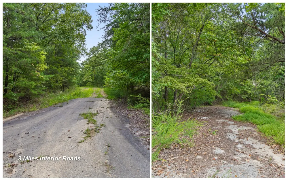 1075 Riggs Chapel Road Harriman, TN 37748