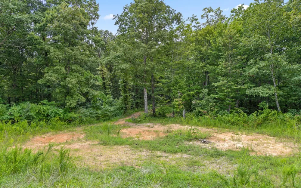 1075 Riggs Chapel Road Harriman, TN 37748
