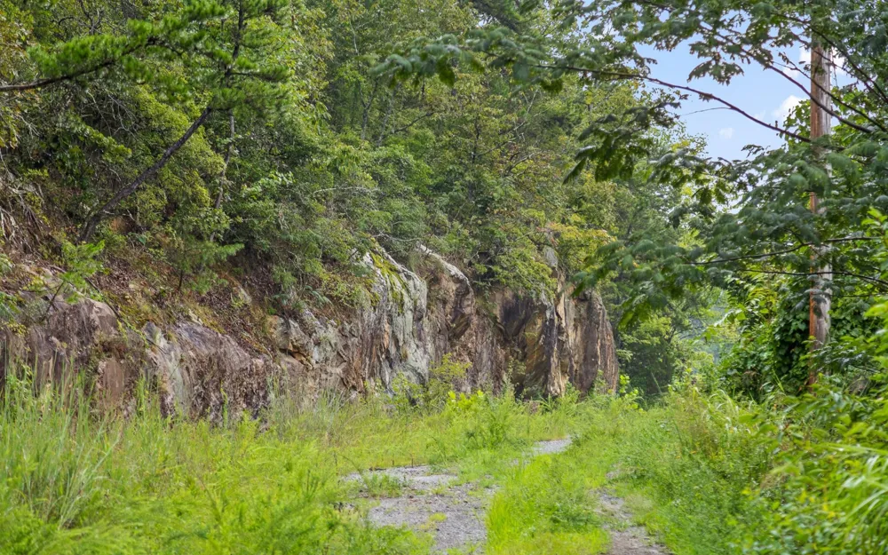 1075 Riggs Chapel Road Harriman, TN 37748