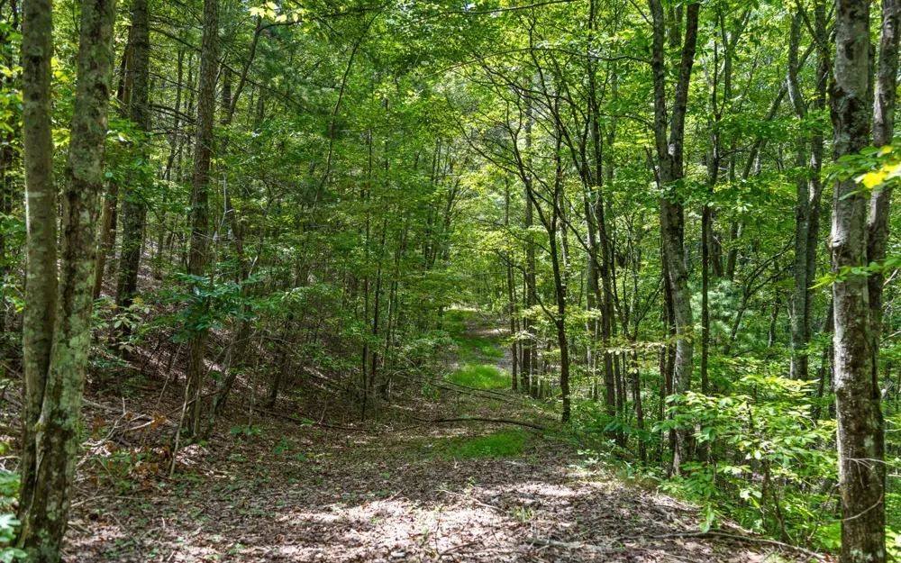 1075 Riggs Chapel Road Harriman, TN 37748