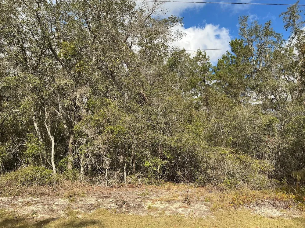 LOT 8 FISHER TRACE Ocklawaha, FL 32179