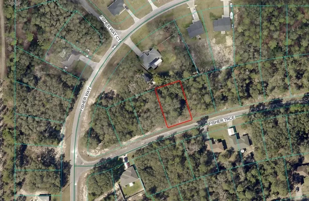 LOT 8 FISHER TRACE Ocklawaha, FL 32179