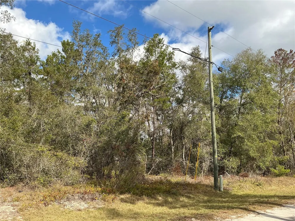 LOT 8 FISHER TRACE Ocklawaha, FL 32179