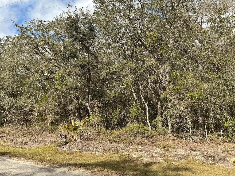 LOT 8 FISHER TRACE Ocklawaha, FL 32179