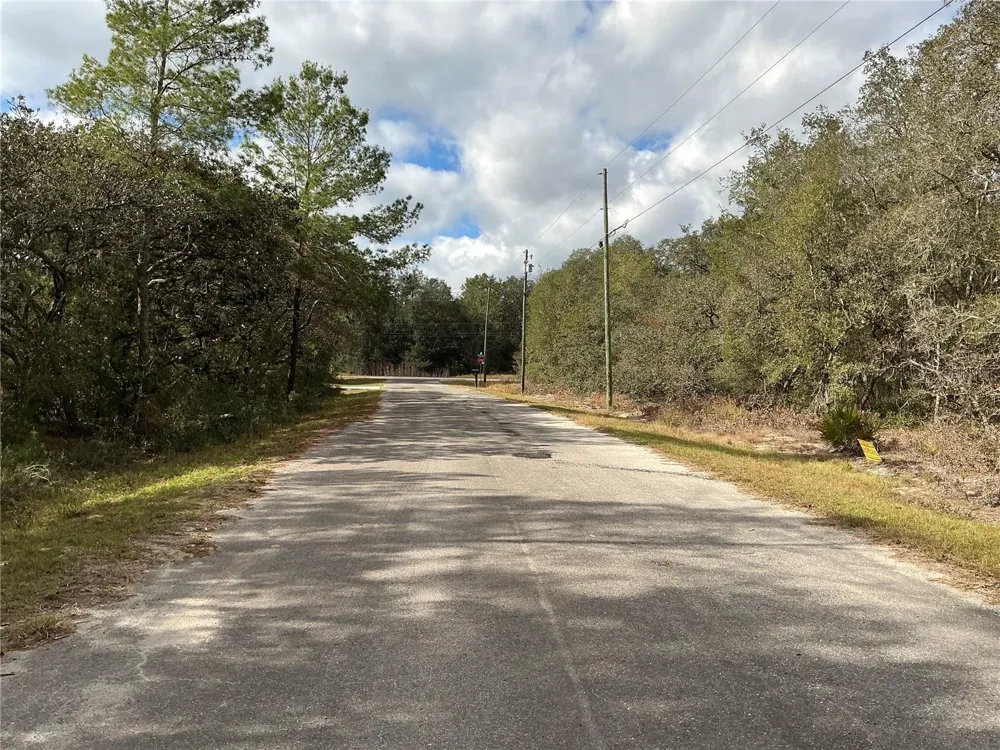 LOT 8 FISHER TRACE Ocklawaha, FL 32179