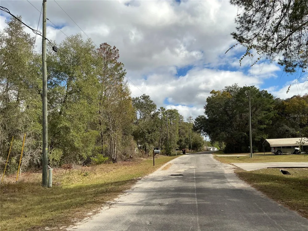LOT 8 FISHER TRACE Ocklawaha, FL 32179