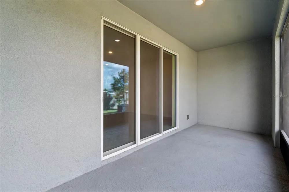 32423 TURTLE GRACE LOOP Wesley Chapel, FL 33545