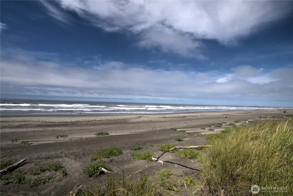 92 X Pheasant Run Drive Westport, WA 98595