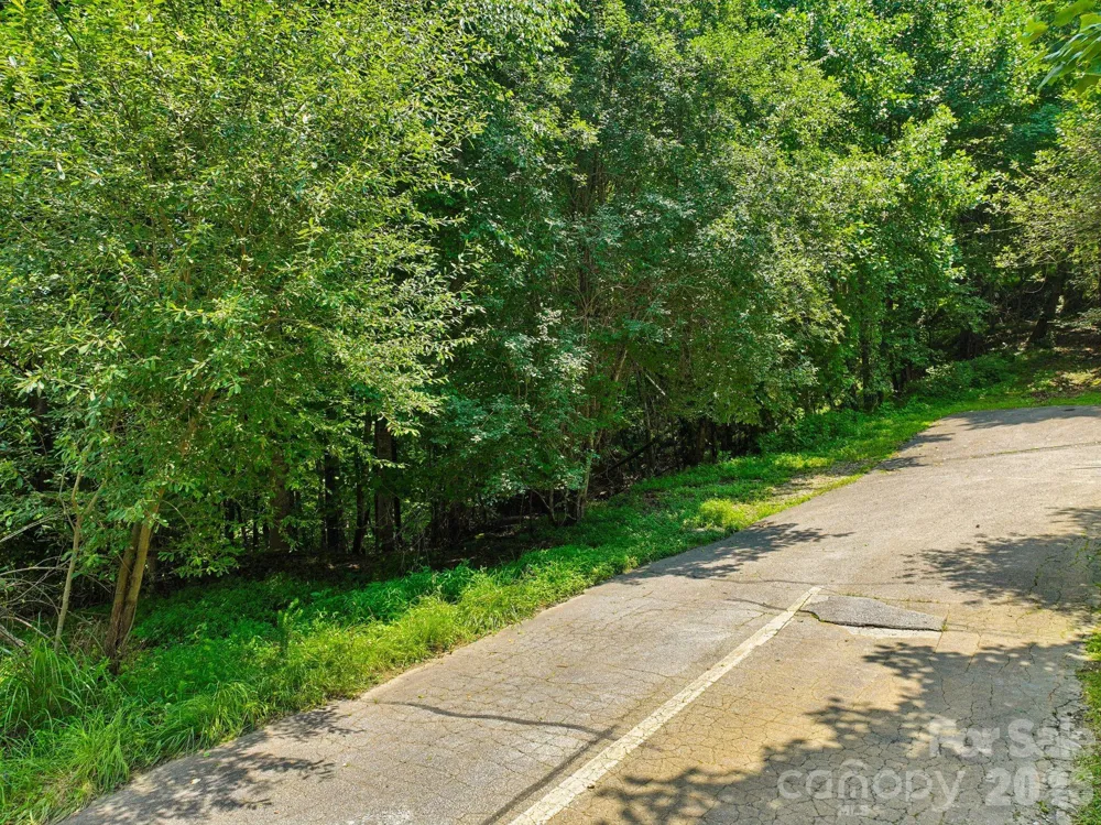 0 Glen Eagles Lane Mills River, NC 28759