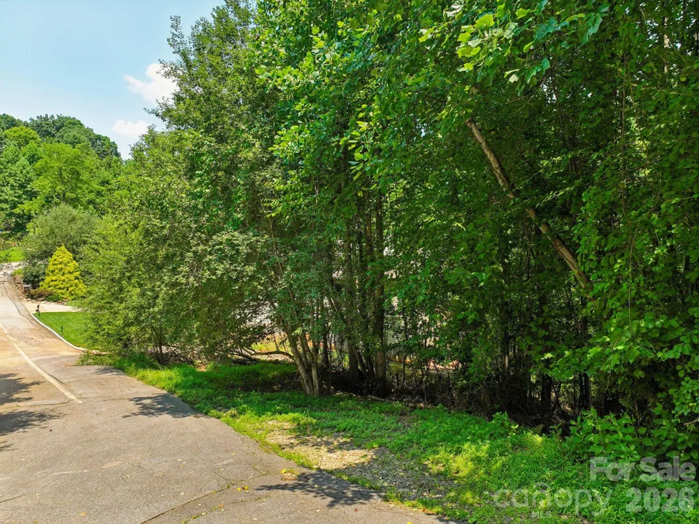 0 Glen Eagles Lane Mills River, NC 28759