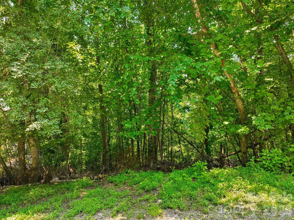 0 Glen Eagles Lane Mills River, NC 28759
