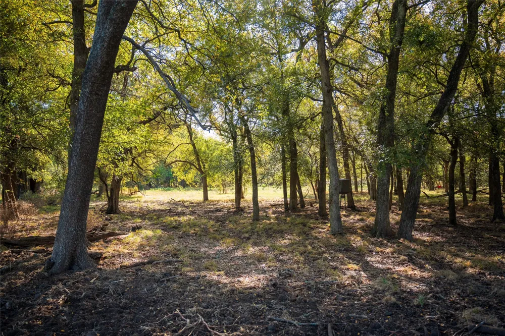 COUNTY ROAD 3660 Ladonia, TX 75449