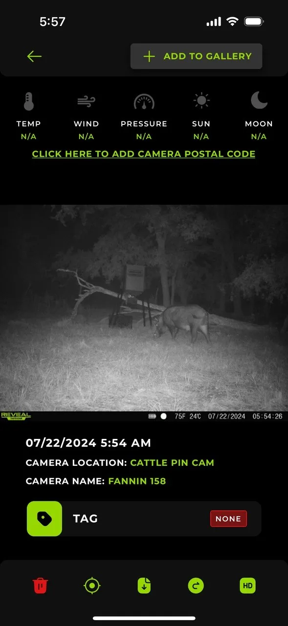 COUNTY ROAD 3660 Ladonia, TX 75449