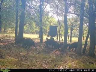 COUNTY ROAD 3660 Ladonia, TX 75449
