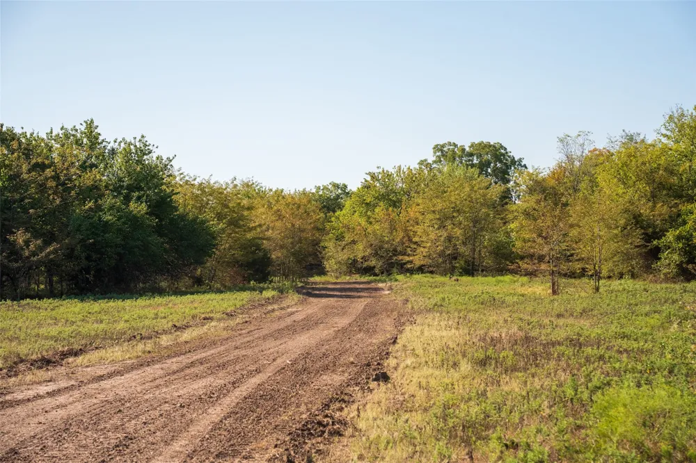 COUNTY ROAD 3660 Ladonia, TX 75449