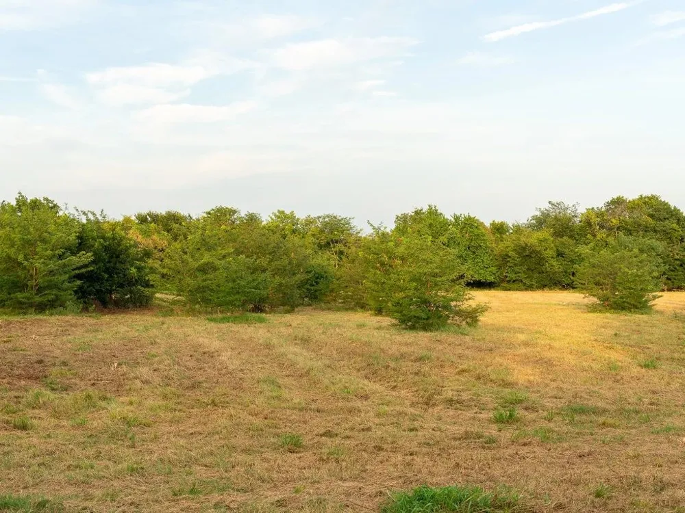 COUNTY ROAD 3660 Ladonia, TX 75449