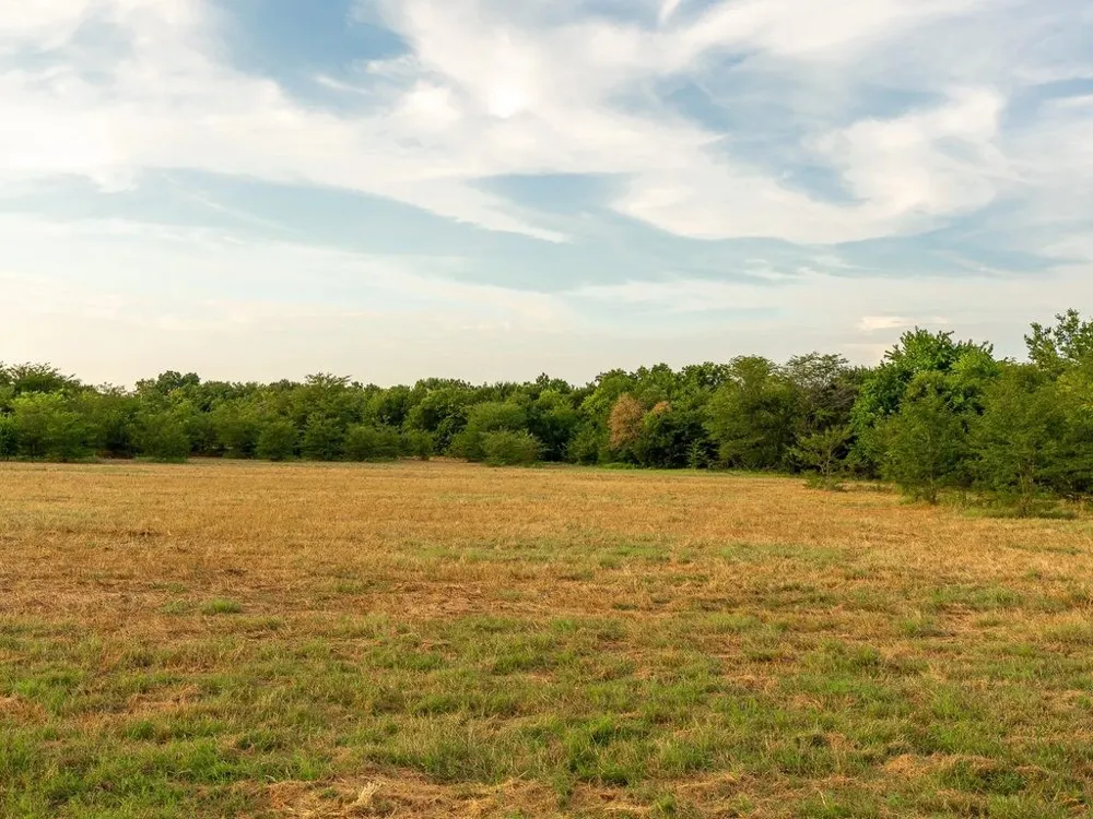 COUNTY ROAD 3660 Ladonia, TX 75449