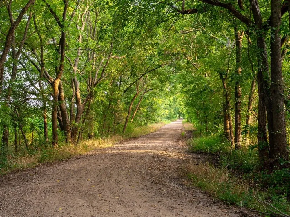 COUNTY ROAD 3660 Ladonia, TX 75449