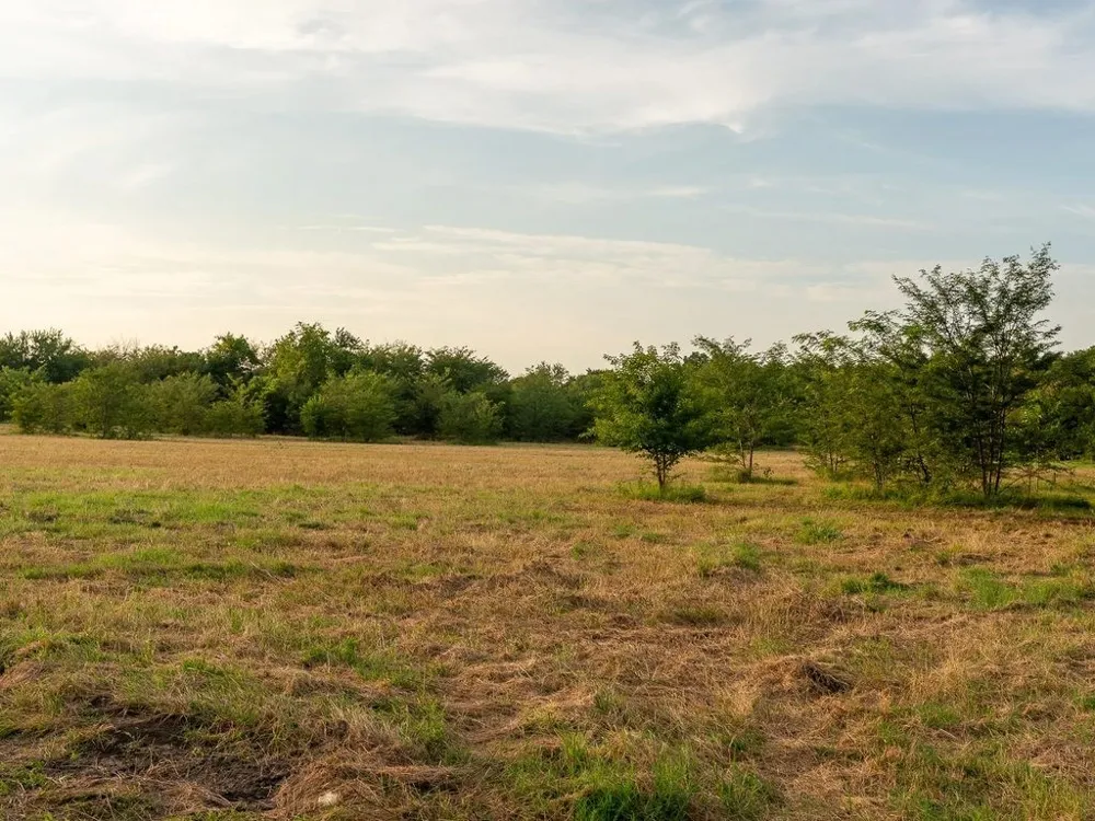 COUNTY ROAD 3660 Ladonia, TX 75449